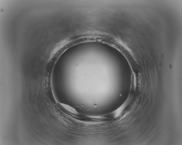 X0000063501352200601231427