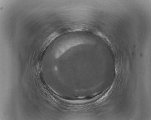 X0000063501353200601231427