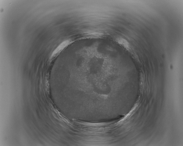 X0000063501354200601231427