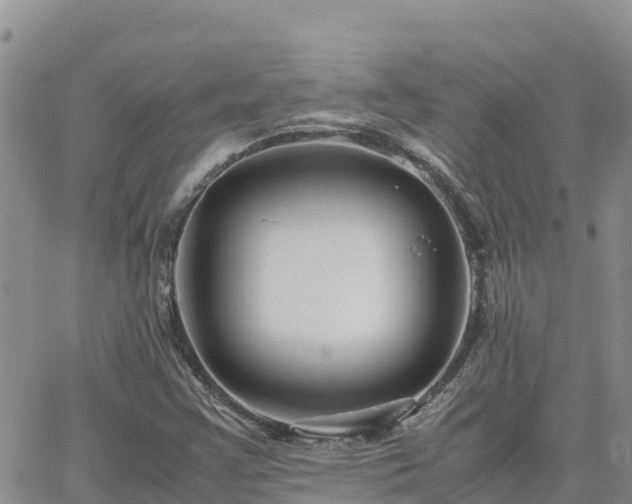 X0000063501355200601231427