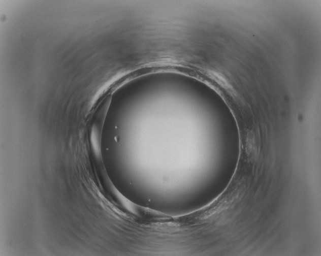 X0000063501356200601231427