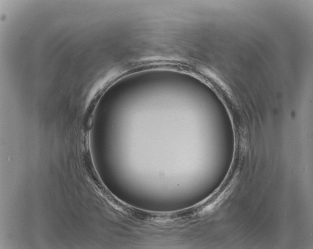 X0000063501357200601231427