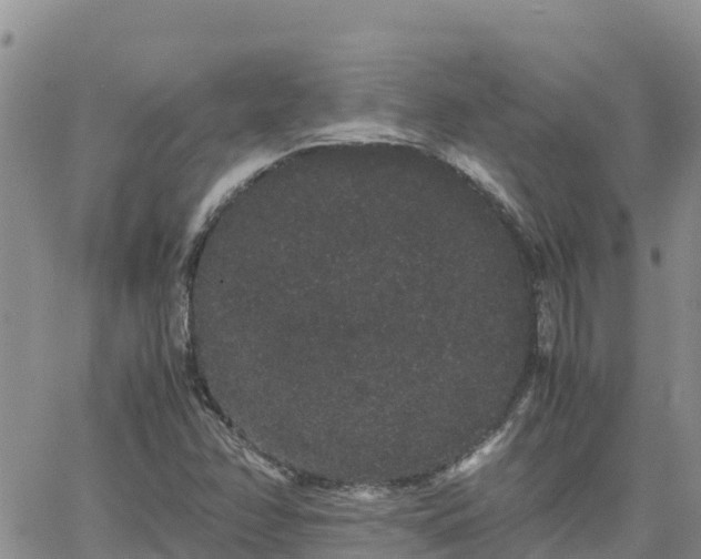 X0000063501358200601231426