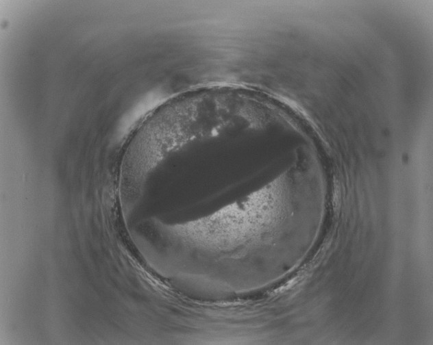 X0000063501359200601231426