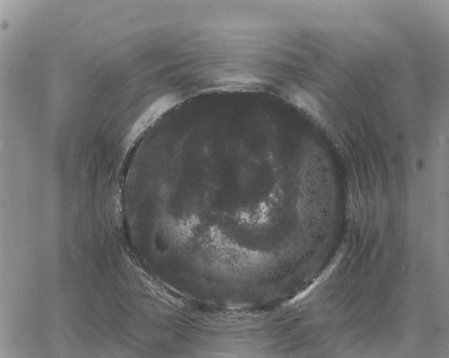 X0000063501362200601231426