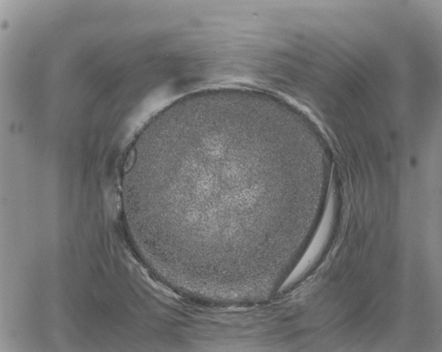 X0000063501363200601231426