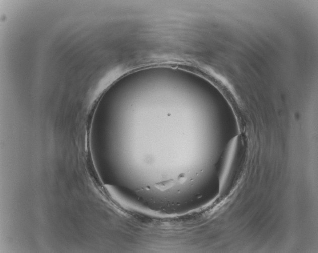 X0000063501365200601231426