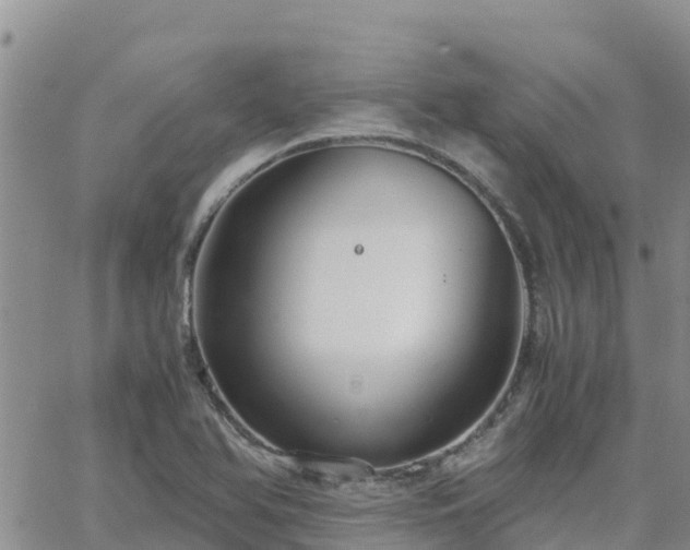 X0000063501366200601231426