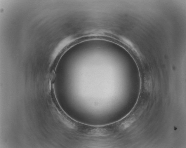 X0000063501368200601231426