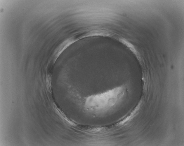 X0000063501369200601231426