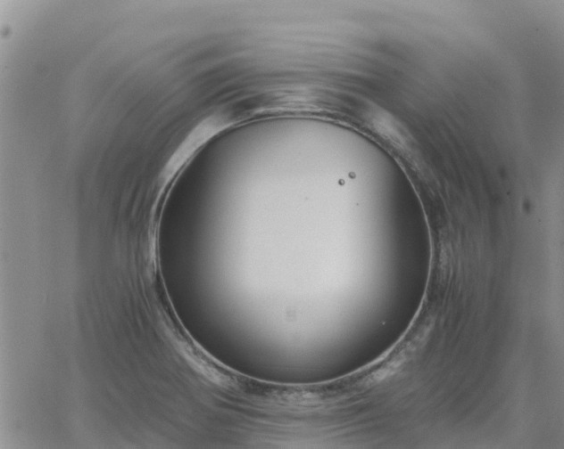 X0000063501370200601231426