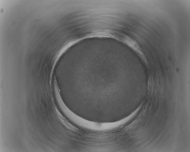 X0000063501372200601231426