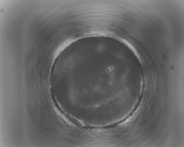 X0000063501373200601231426