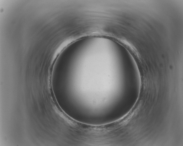 X0000063501374200601231426