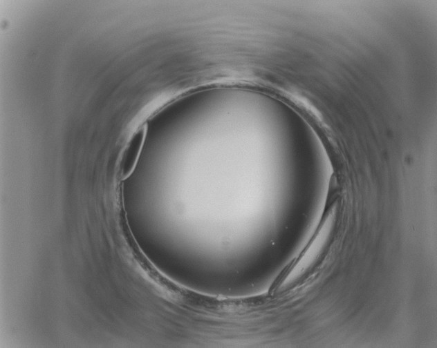 X0000063501375200601231426