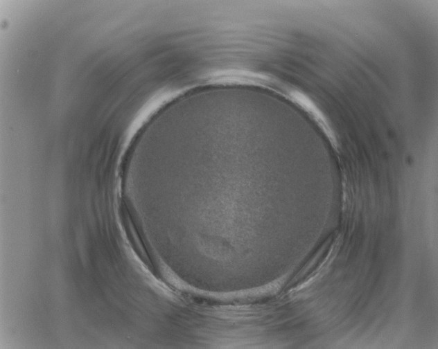 X0000063501376200601231426