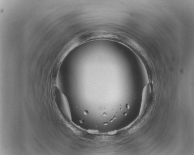 X0000063501377200601231426