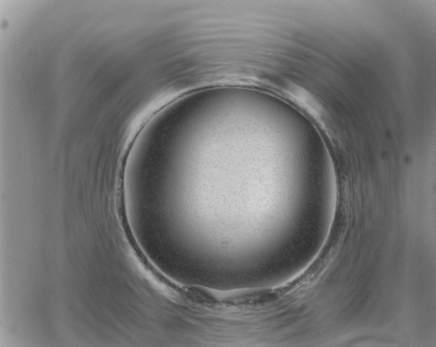 X0000063501379200601231426