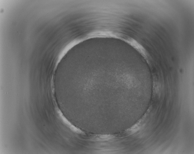 X0000063501382200601231426