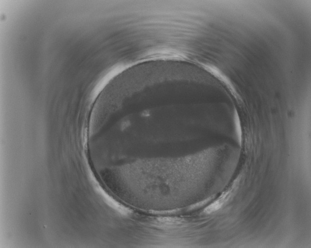 X0000063501383200601231426