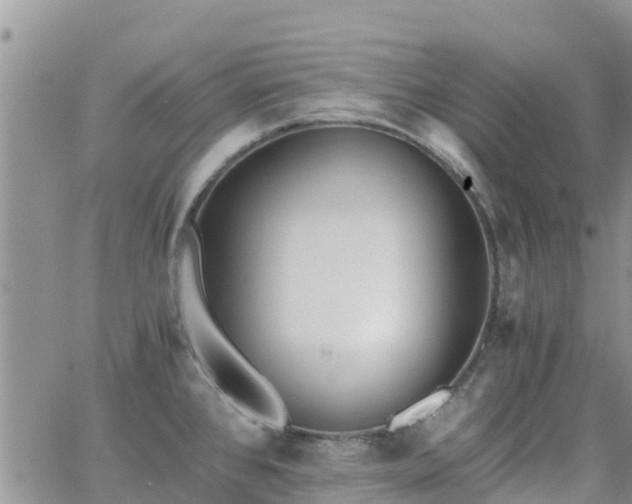 X0000063501384200601231426