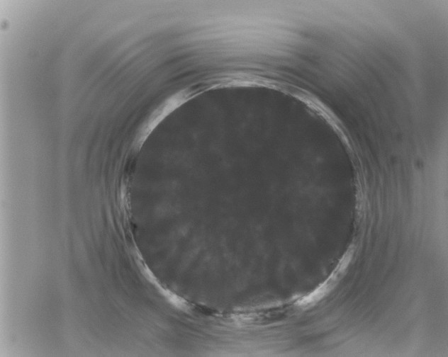 X0000063501385200601231426