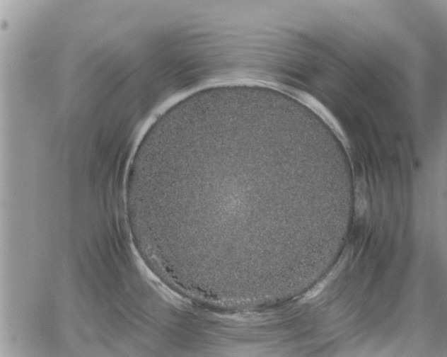 X0000063501388200601231426