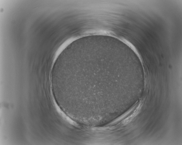 X0000063501389200601231426