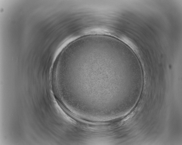 X0000063501392200601231426