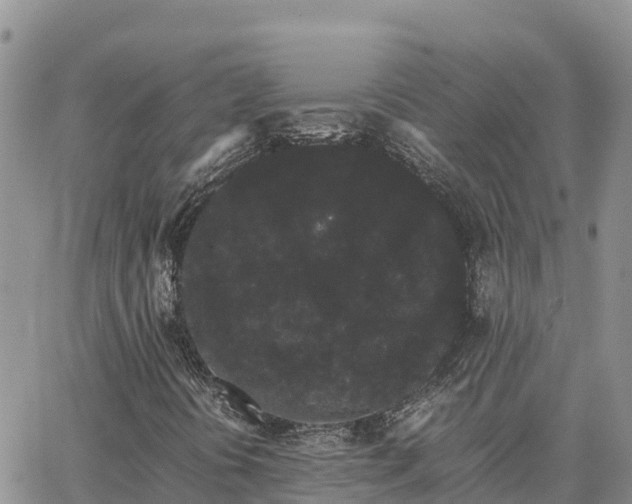 X0000063501394200601231425