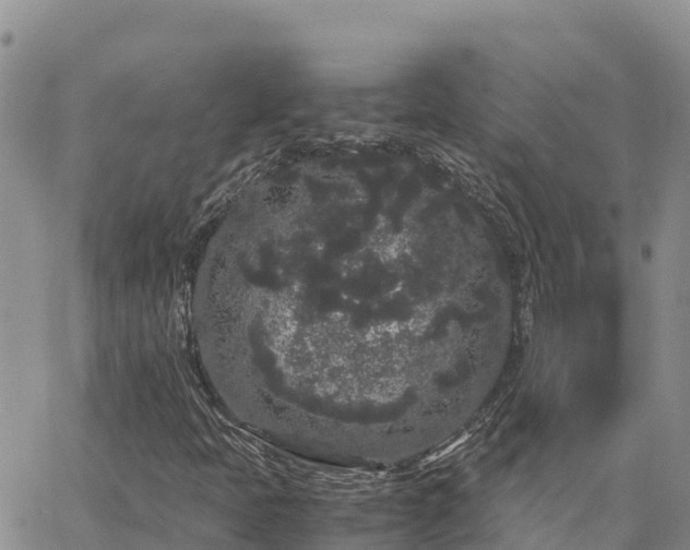 X0000063501397200601231425