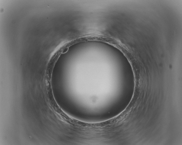 X0000063501400200601231425