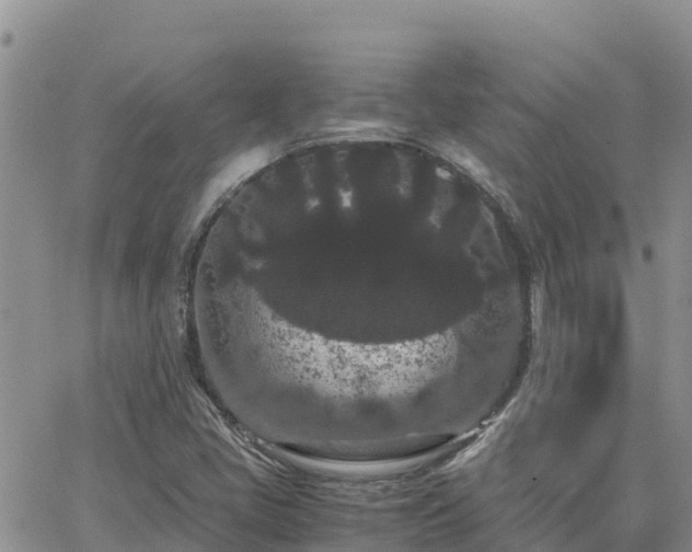 X0000063501405200601231425