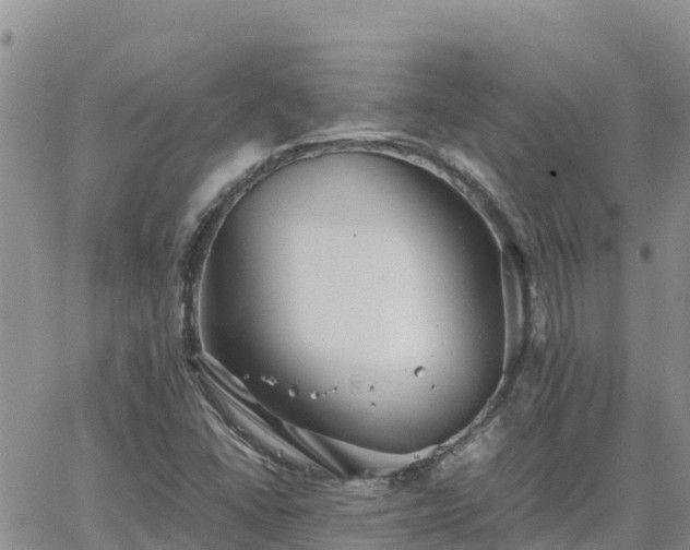 X0000063501406200601231425