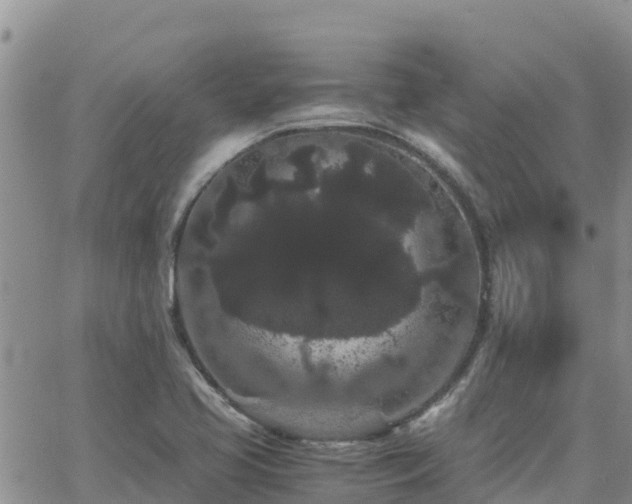 X0000063501413200601231425