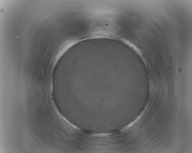 X0000063501415200601231426