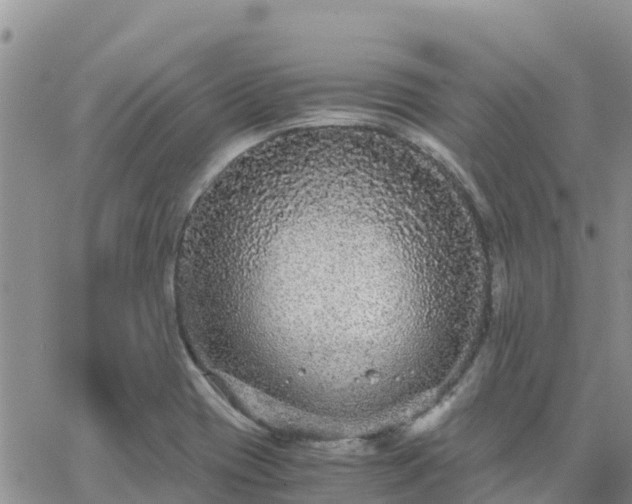 X0000063501417200601231426