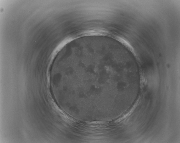 X0000063501419200601231426