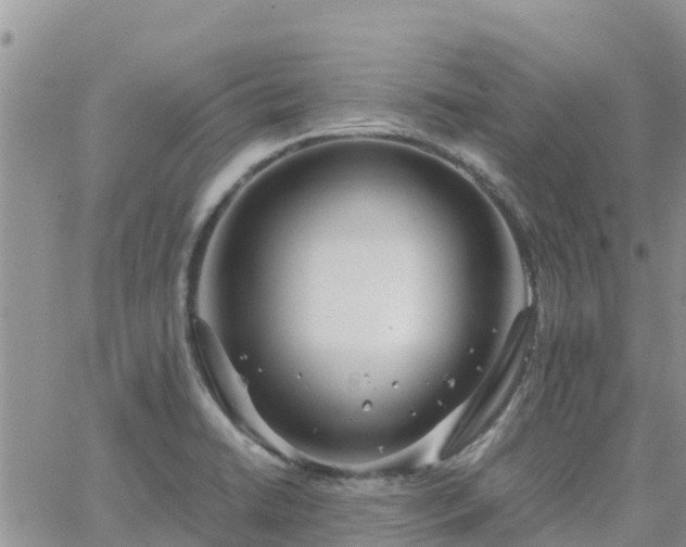 X0000063501422200601231426