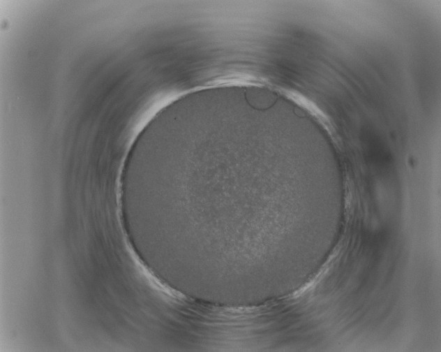 X0000063501423200601231426