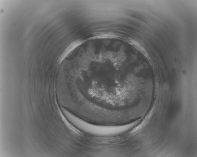 X0000063501425200601231426