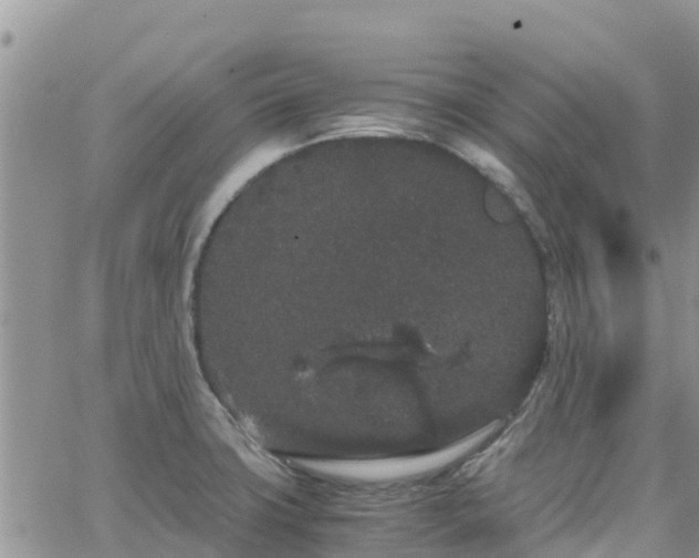 X0000063501427200601231426