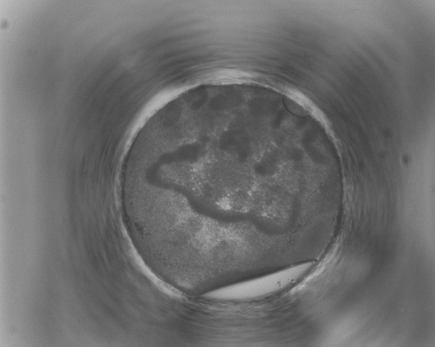 X0000063501429200601231426