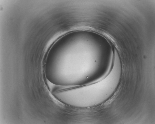 X0000063501430200601231426