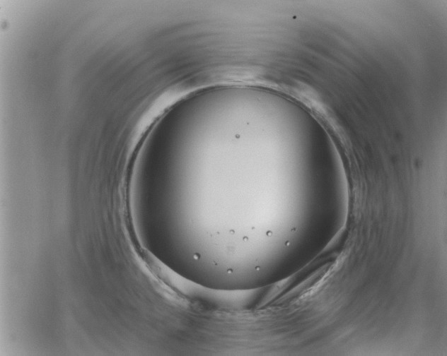 X0000063501432200601231426