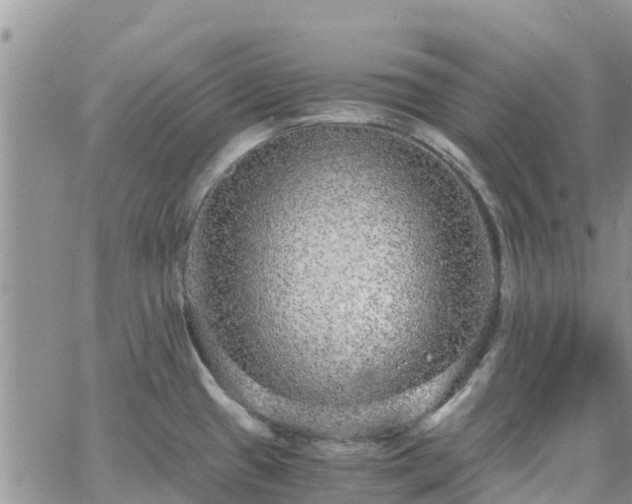 X0000063501433200601231426