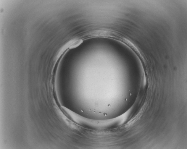 X0000063501434200601231426