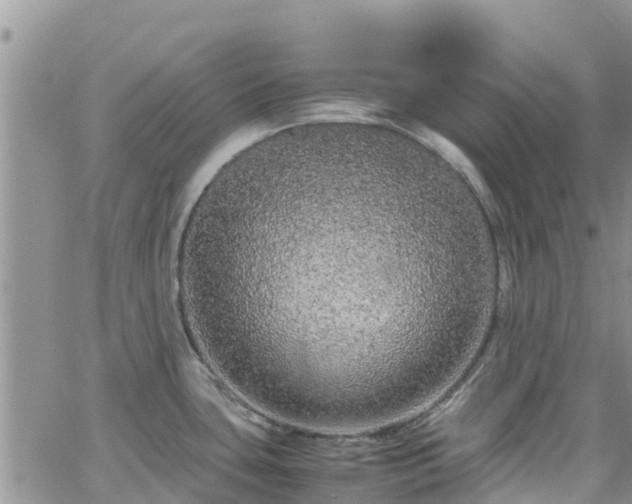 X0000063501435200601231426