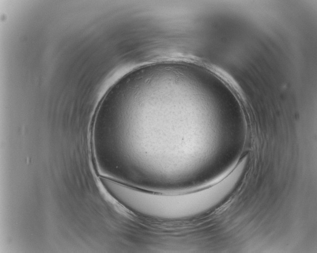 X0000063501439200601231426