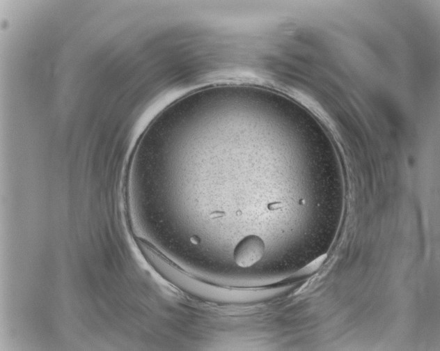 X0000063501440200601231426